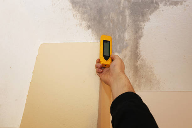 Best Mold Prevention Services  in Depoe Bay, OR