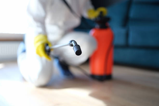 Best Attic Mold Removal  in Depoe Bay, OR