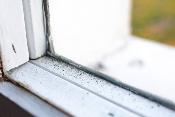 Best Mold Odor Removal Services  in Depoe Bay, OR