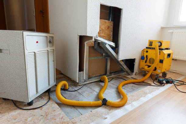 Best Mold Removal for HVAC Installations  in Depoe Bay, OR