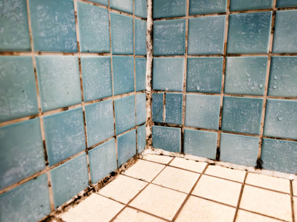 Asbestos and Lead Testing During Mold Inspection in Depoe Bay, OR