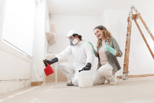 Best Mold Odor Removal Services  in Depoe Bay, OR