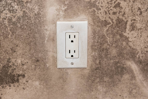 Best Post-Construction Mold Inspection  in Depoe Bay, OR