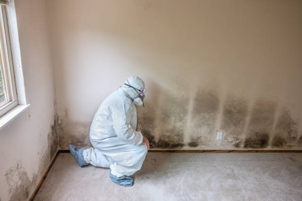 Best Dehumidification Services  in Depoe Bay, OR