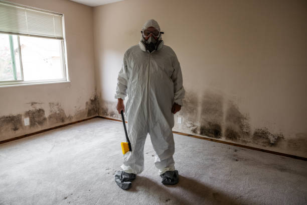 Best Black Mold Removal  in Depoe Bay, OR