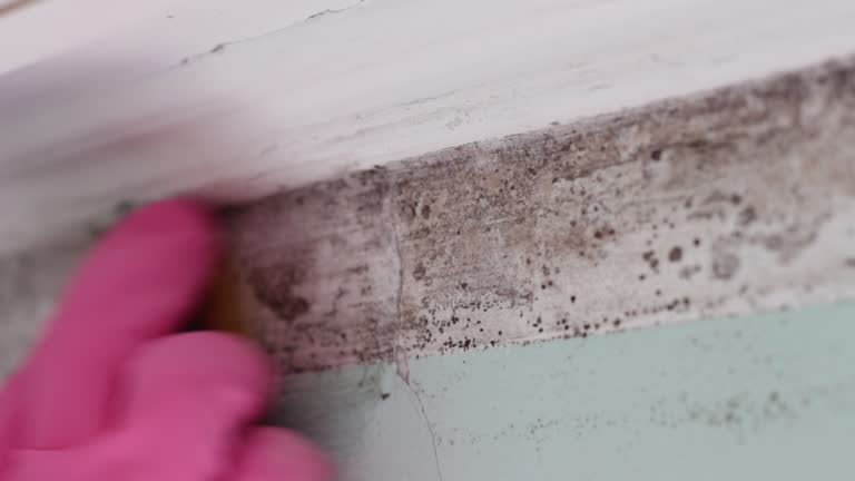 Best Air Quality Testing for Mold Spores  in Depoe Bay, OR
